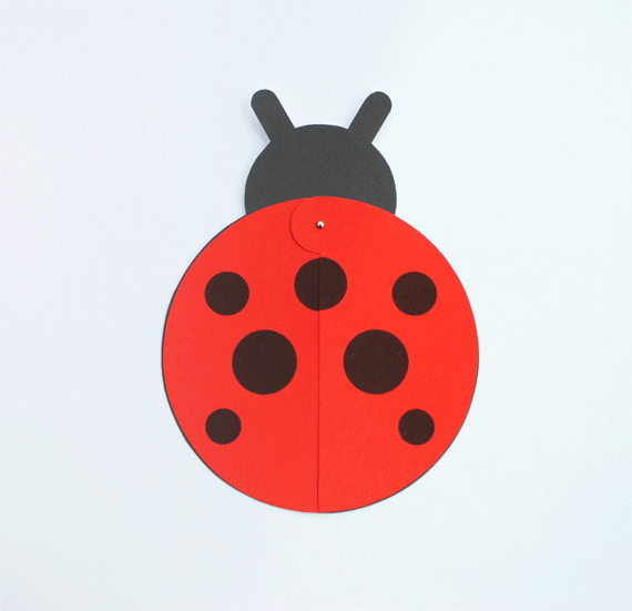 [تصویر: ladybird-gif.gif]